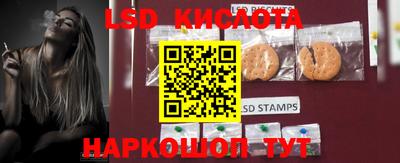 спайс Берёзовский