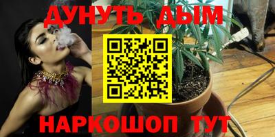 спайс Берёзовский